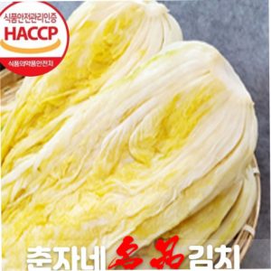 계절별 인기 김치 종류와 식당 메뉴 활용법